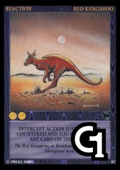 Red Kangaroo